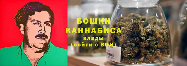 дурь Арсеньев