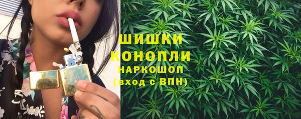 дурь Арсеньев