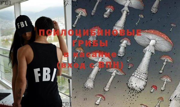 ПСИЛОЦИБИНОВЫЕ ГРИБЫ Аркадак