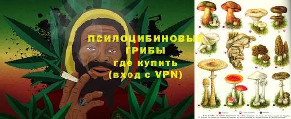ПСИЛОЦИБИНОВЫЕ ГРИБЫ Аркадак